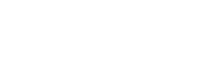DIRKET logo white